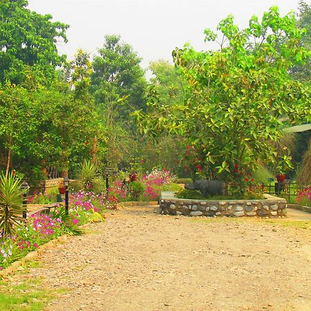 Chitwan Gaida Lodge Sauraha Bagian luar foto