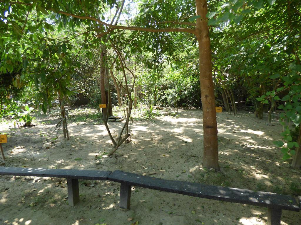Chitwan Gaida Lodge Sauraha Bagian luar foto