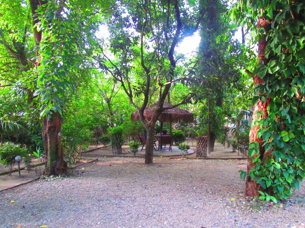 Chitwan Gaida Lodge Sauraha Bagian luar foto