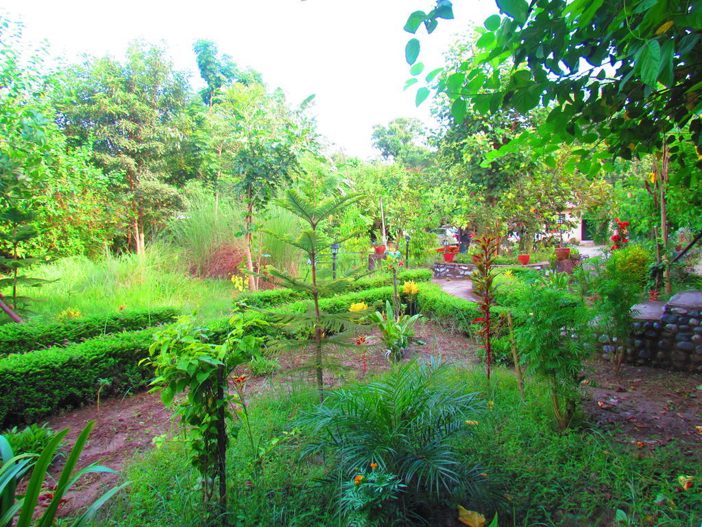 Chitwan Gaida Lodge Sauraha Bagian luar foto