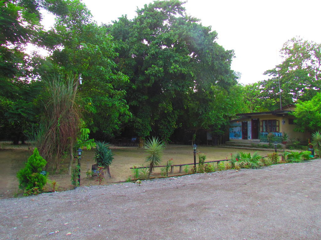 Chitwan Gaida Lodge Sauraha Bagian luar foto