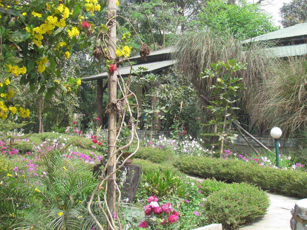 Chitwan Gaida Lodge Sauraha Bagian luar foto