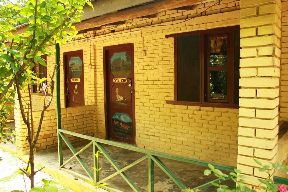 Chitwan Gaida Lodge Sauraha Bagian luar foto