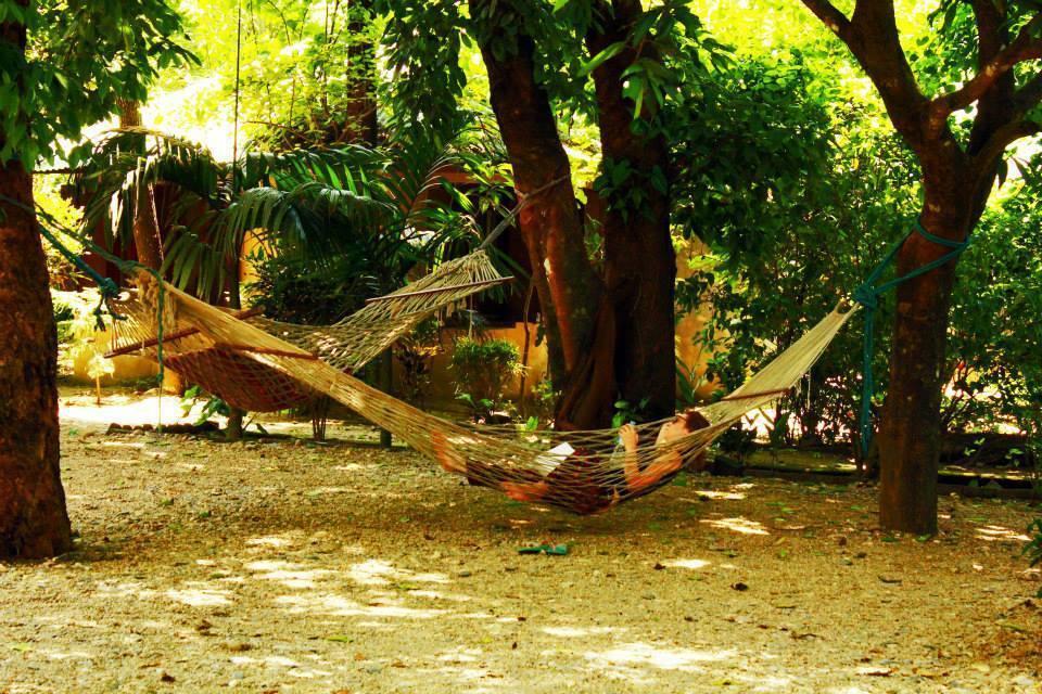Chitwan Gaida Lodge Sauraha Bagian luar foto