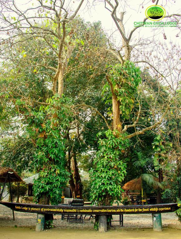 Chitwan Gaida Lodge Sauraha Bagian luar foto
