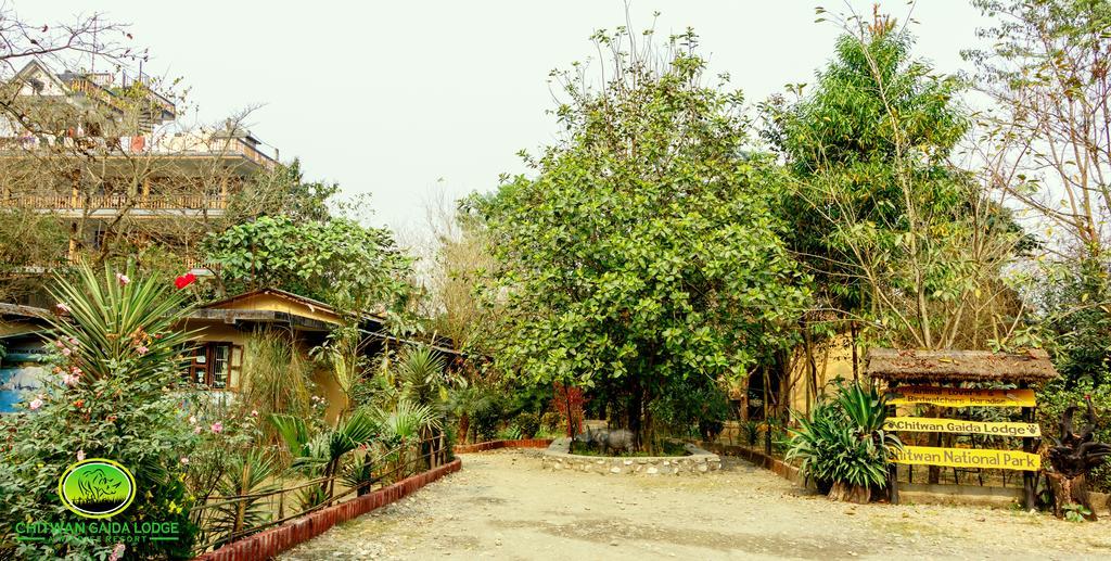 Chitwan Gaida Lodge Sauraha Bagian luar foto