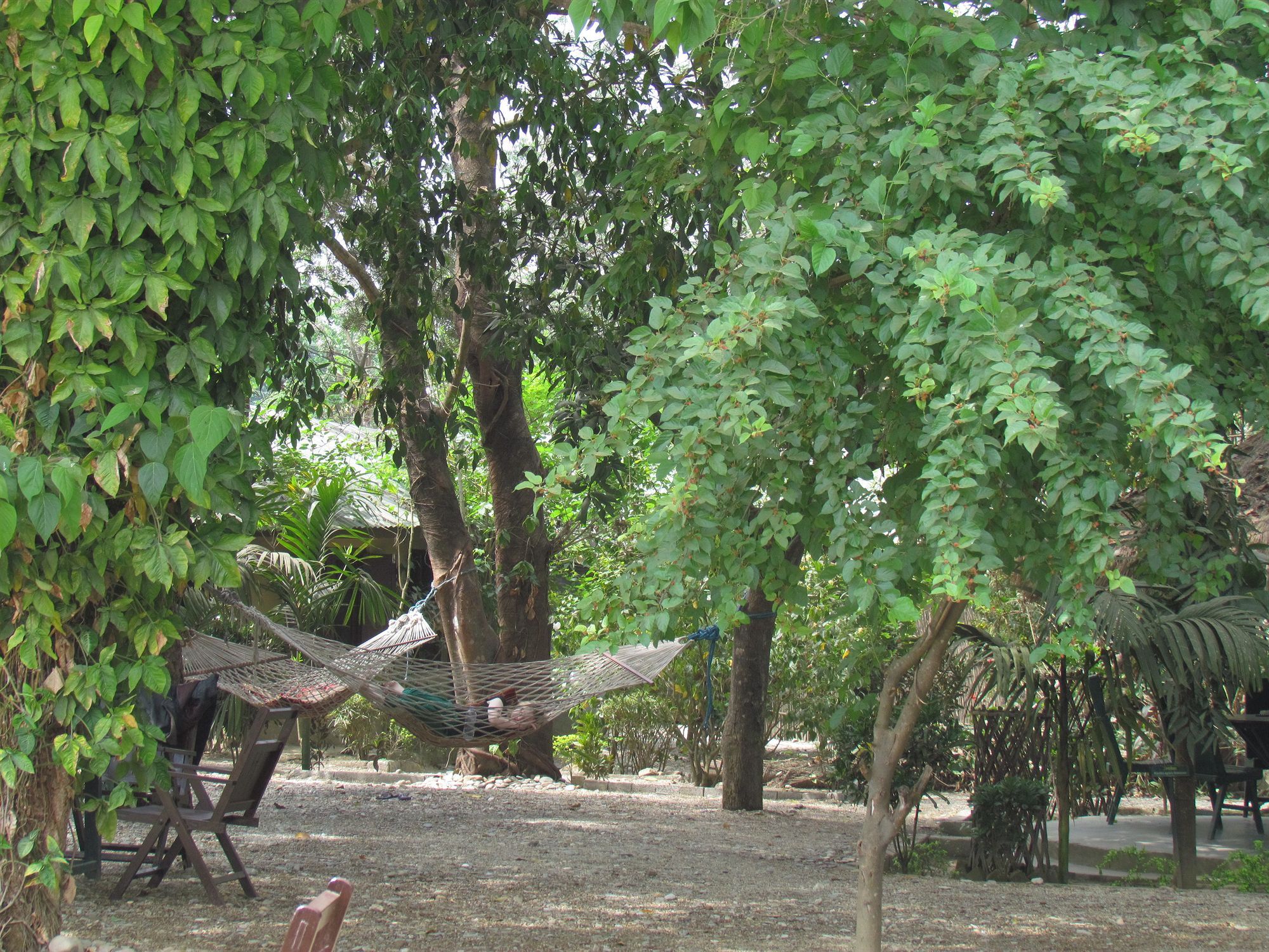 Chitwan Gaida Lodge Sauraha Bagian luar foto