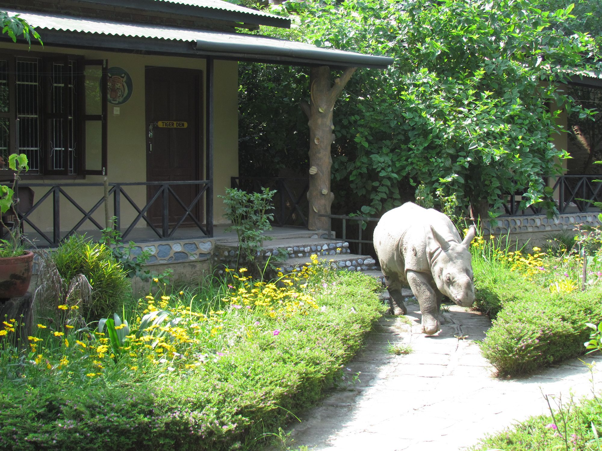 Chitwan Gaida Lodge Sauraha Bagian luar foto